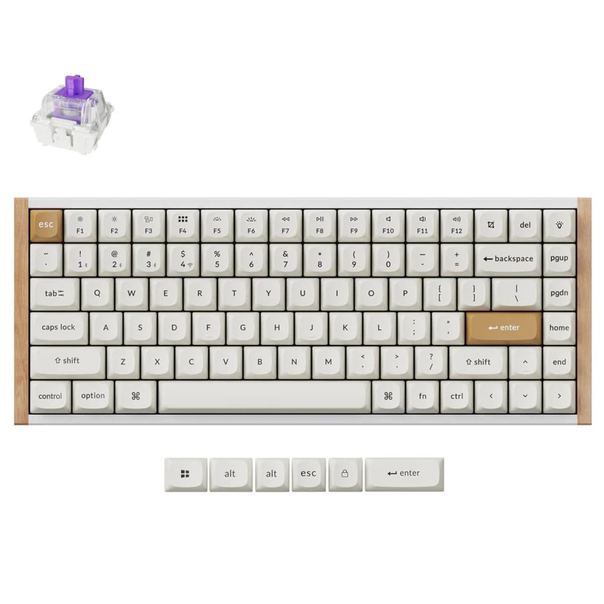 Keychron K2 HE Special Edition RGB Wireless/Bluetooth/Wired Standard Keyboard image