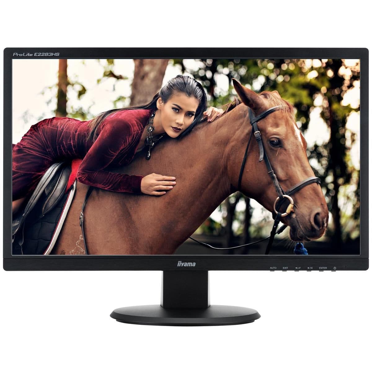 iiyama Prolite E2283HS-B1 22" 1080p 60Hz TN Monitor image