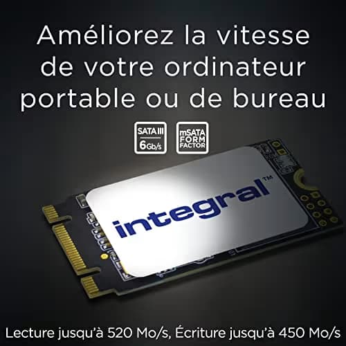 Integral INSSD256GM242 256GB SSD M.2-2242 SATA image