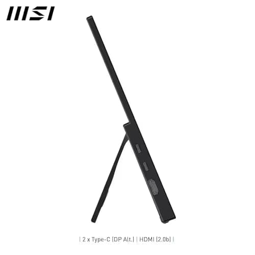 MSI PRO MP165 E6 15.6" IPS FHD 60Hz Portable Monitor image