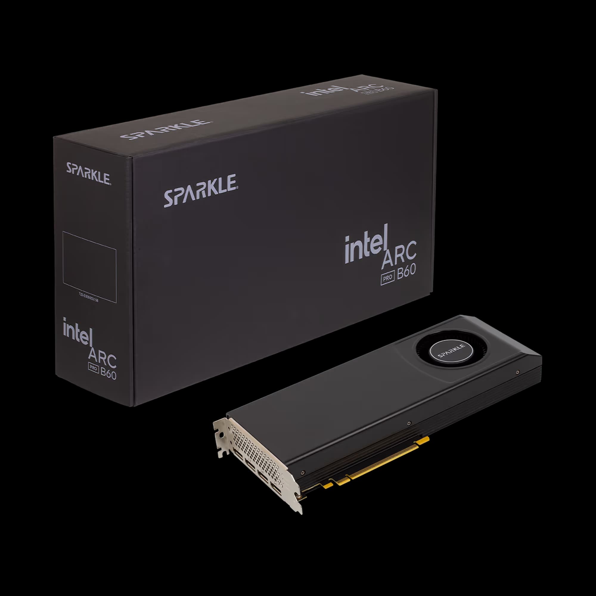 Sparkle Intel Arc Pro B60 Passive 24GB GDDR6 image