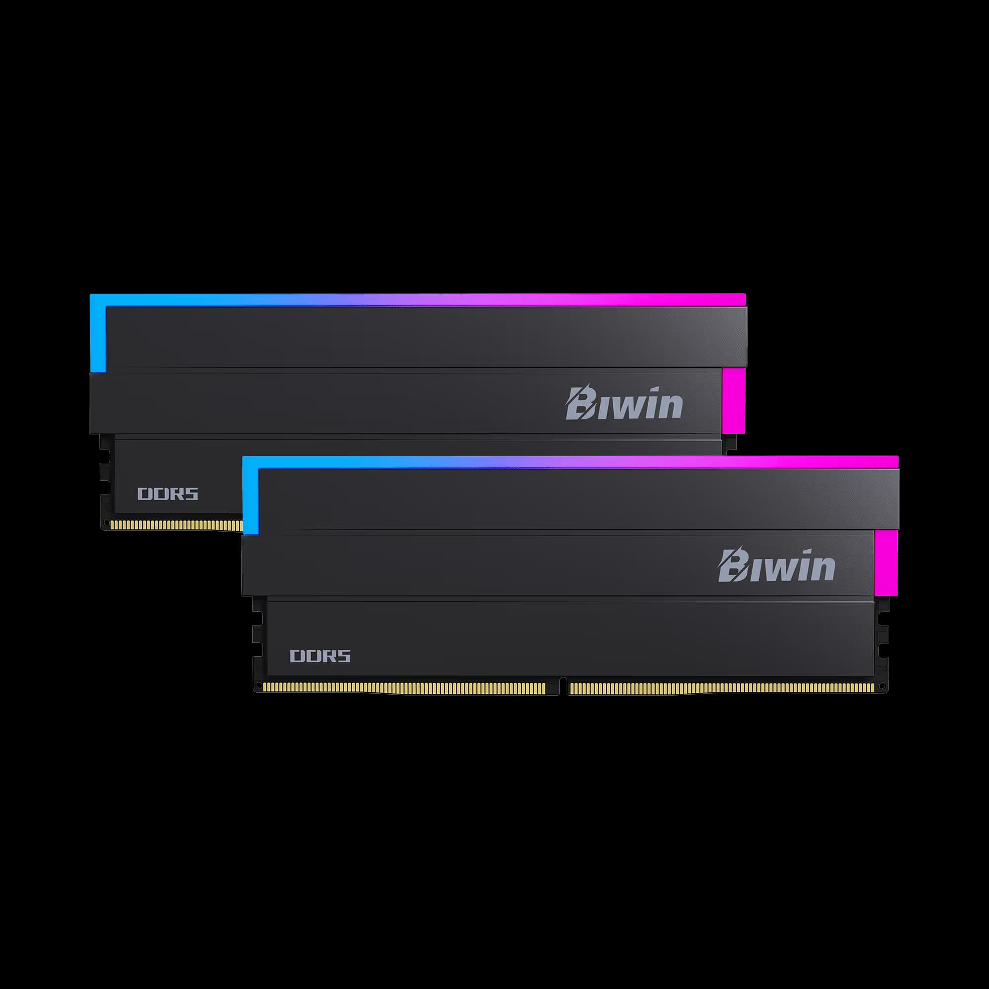 Biwin Black Opal DW100 DDR5-6000 32 GB CL28 RGB RAM  main image