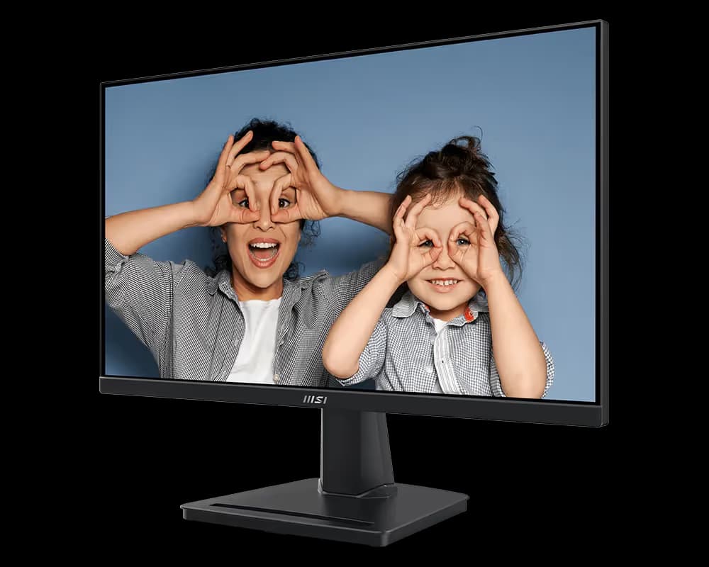 MSI PRO MP225V image