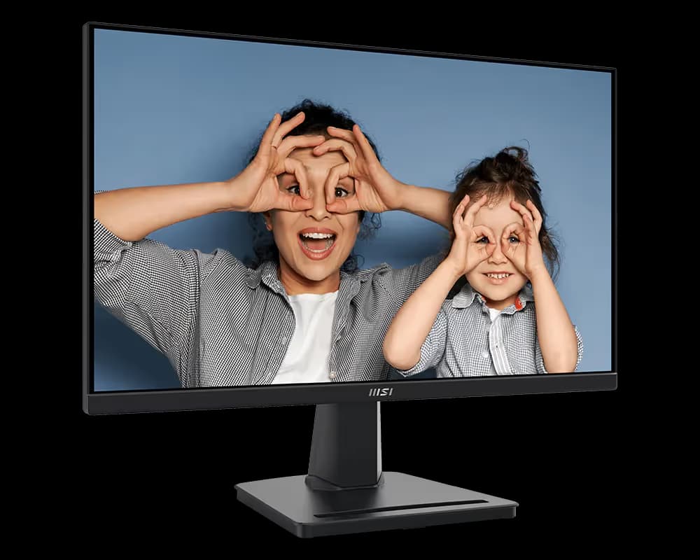 MSI PRO MP225V image