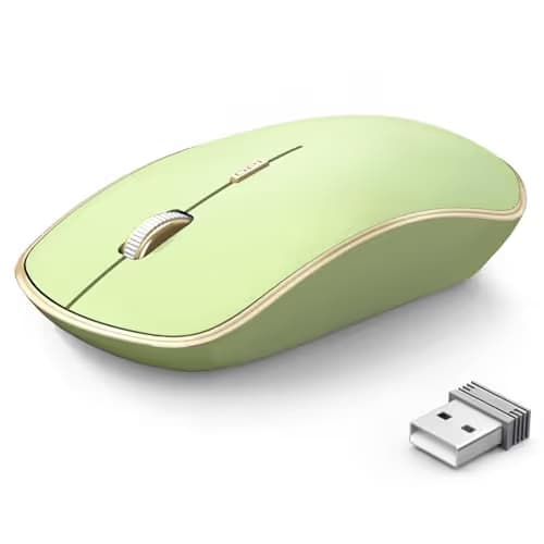 JOYACCESS J 2.4G Slim Wireless Silent Mouse - Portable Wireless Computer Mouse with 5 Adjustable DPI Levels, USB for Desktop, Notebook, MacBook, Chromebook, PC (Light Green) main image