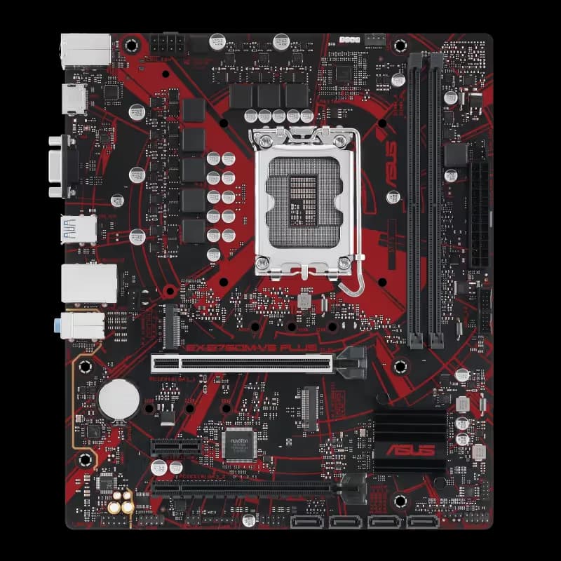 ASUS EX-B760M-V5 PLUS main image