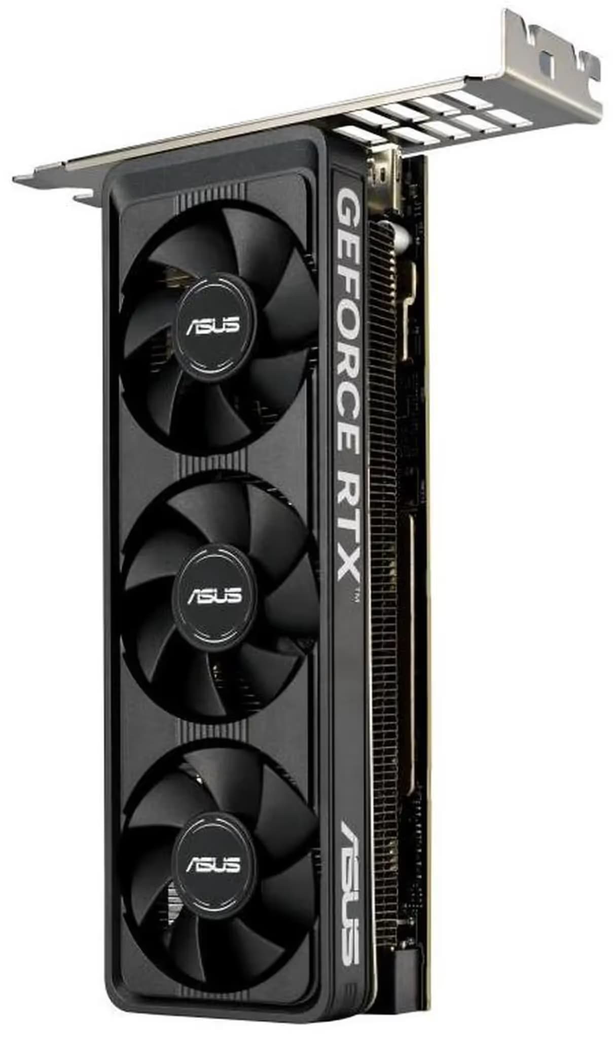 ASUS GeForce RTX 5060 LP BRK 8GB GDDR7 image