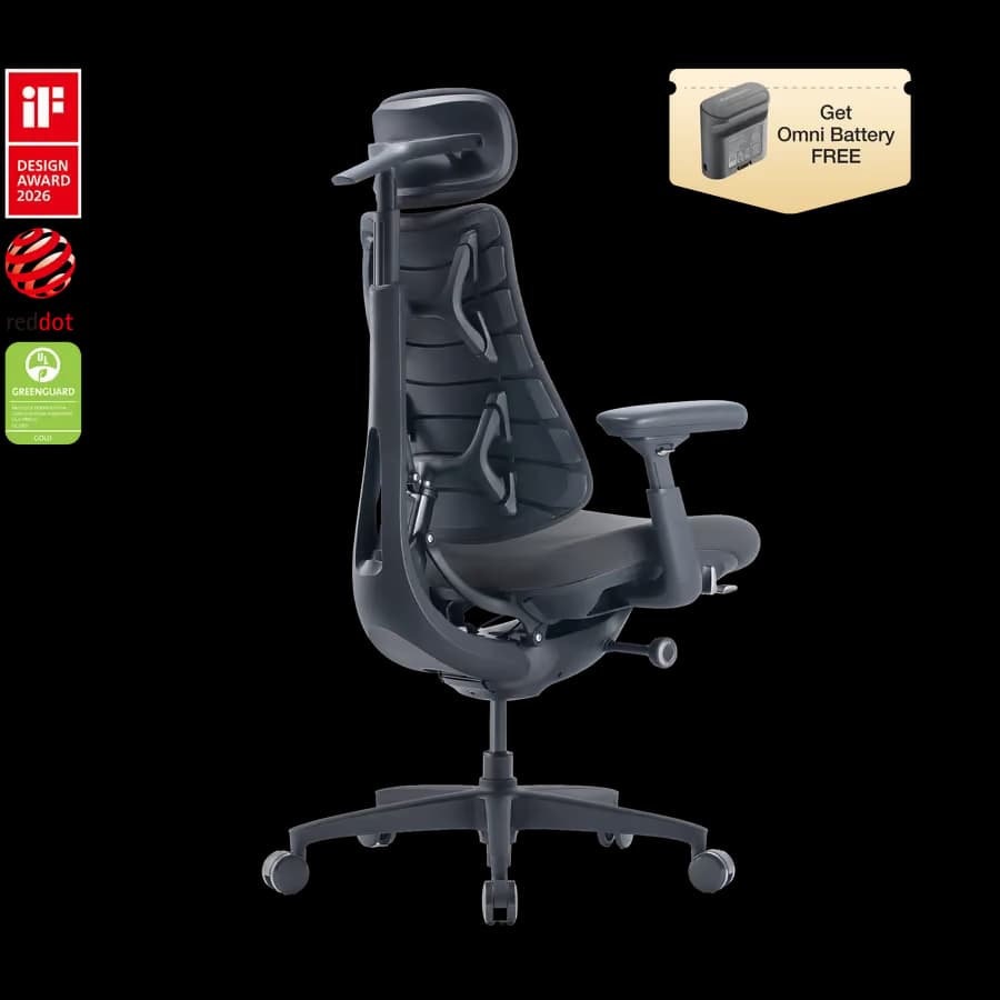 LiberNovo Omni Gen 45 cm Graphite Ergonomic Chair image