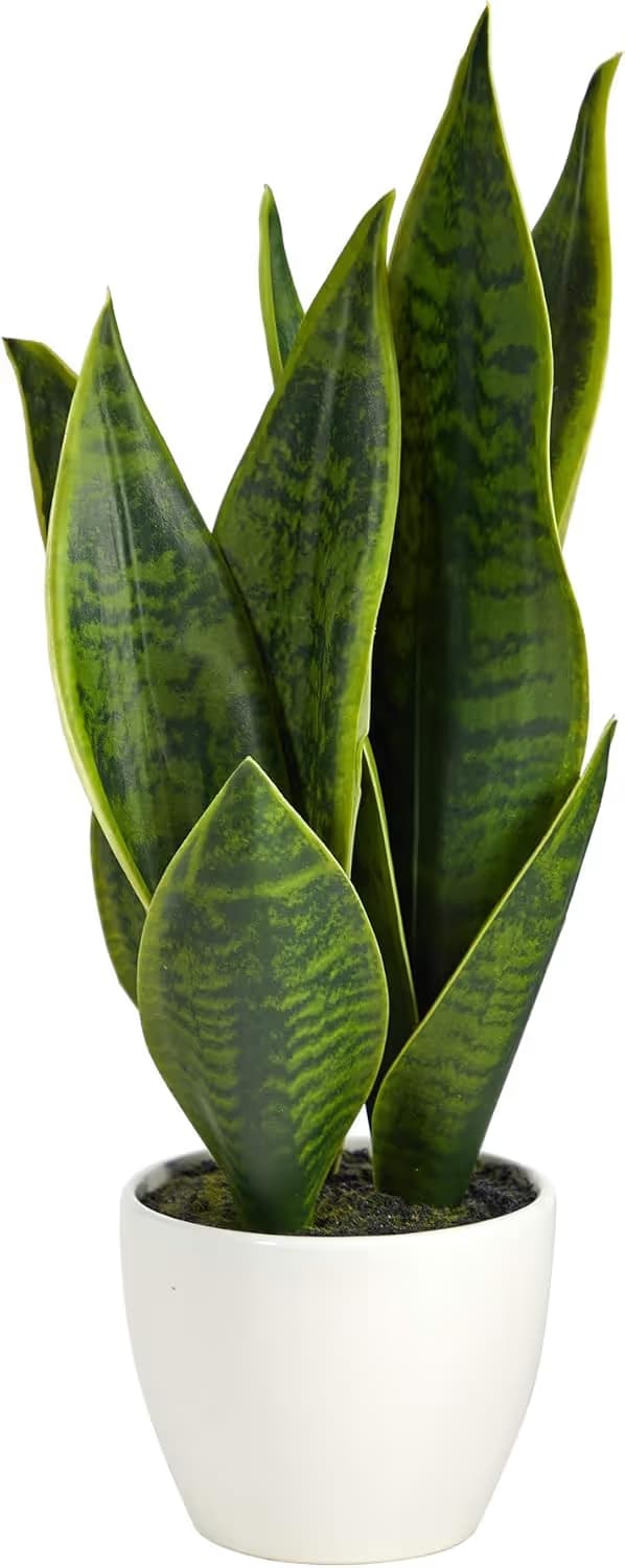 Nearly Natural P1650 16-inch Sansevieria Artificial Plant in White Planter main image