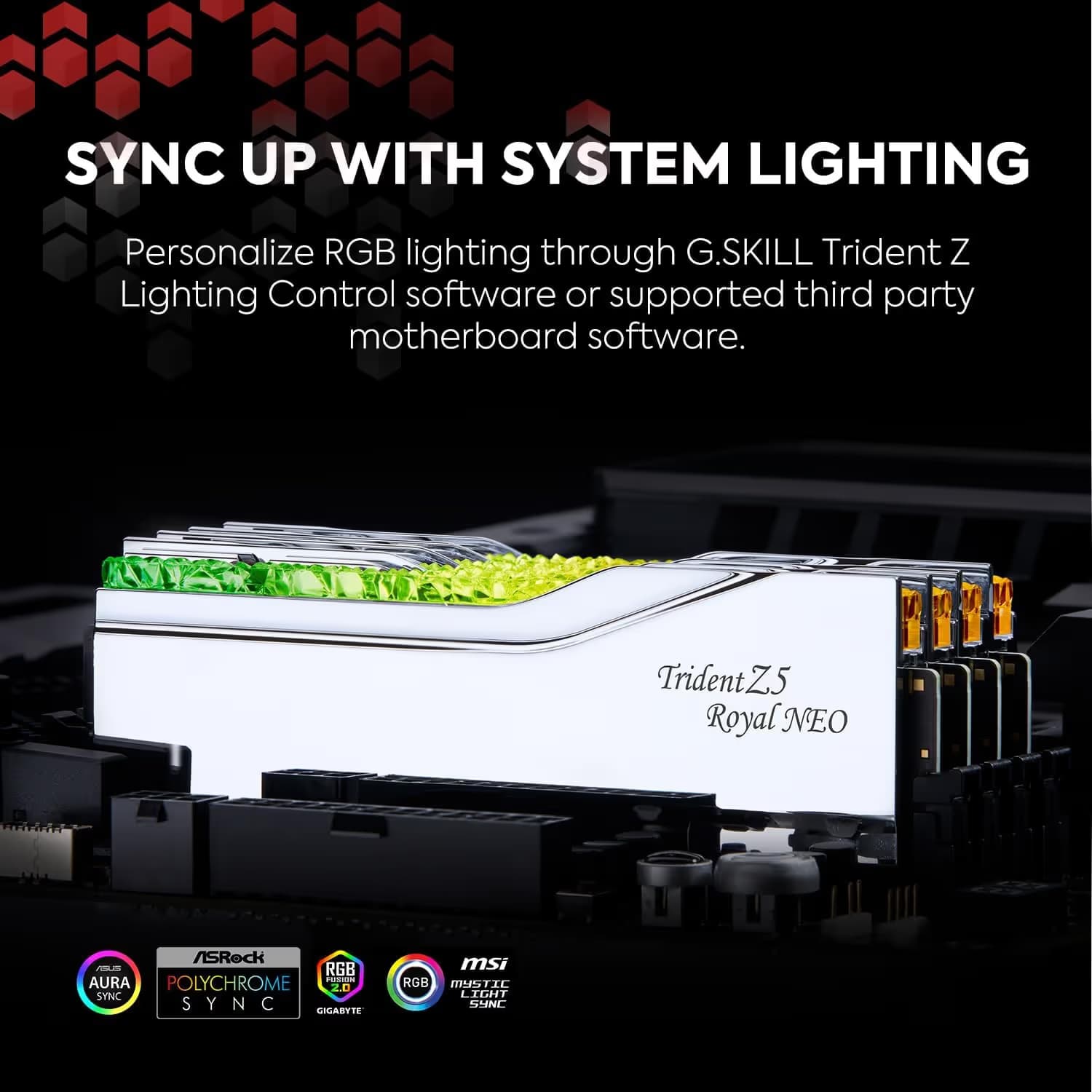 G.Skill Trident Z5 Royal Neo RGB Silver (Mirror Finish) DDR5-6000 CL26 64GB (2x32GB) image